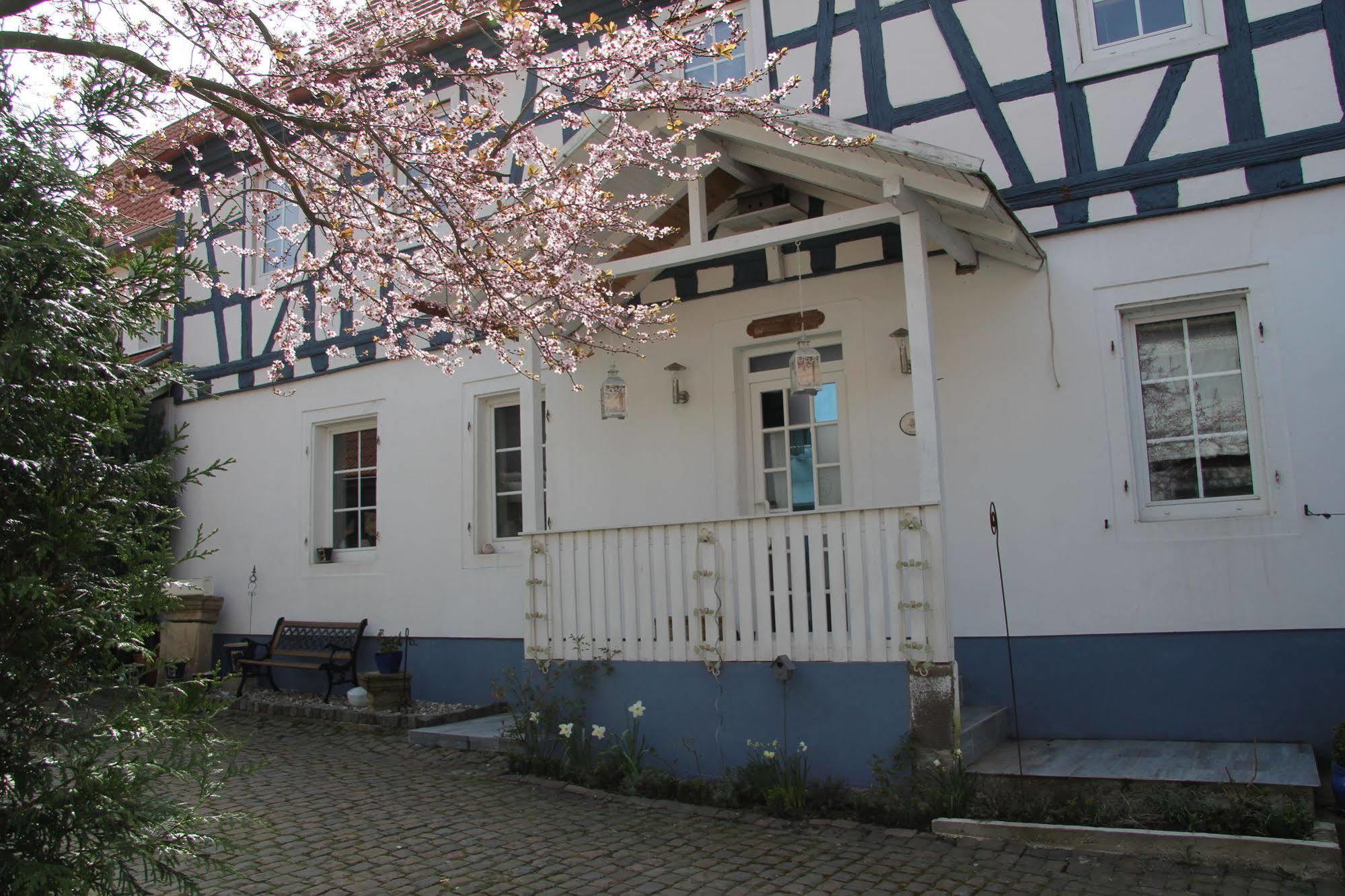 No.31 B&B Im Rosengarten Kapellen-Drusweiler Екстер'єр фото