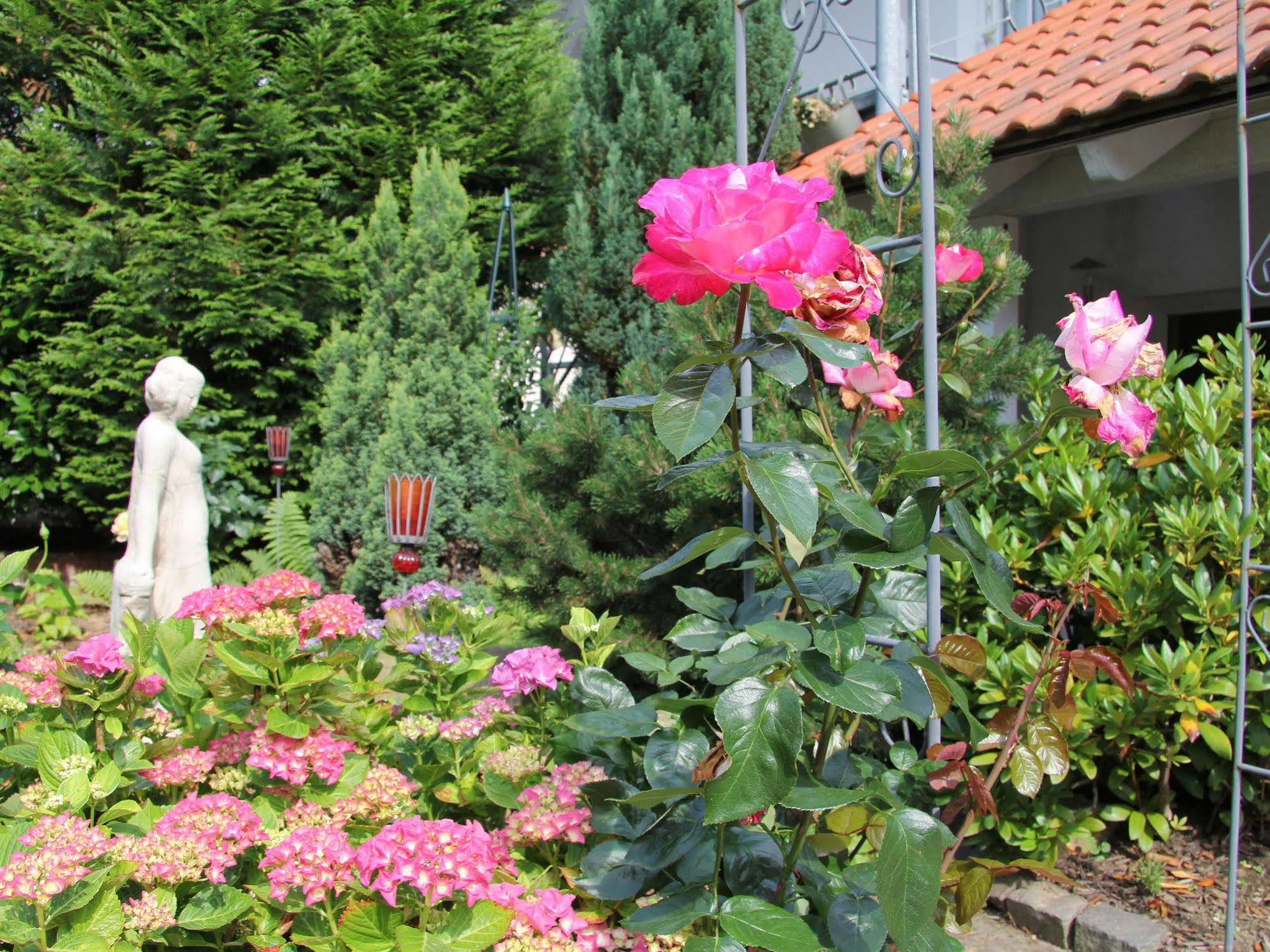 No.31 B&B Im Rosengarten Kapellen-Drusweiler Екстер'єр фото